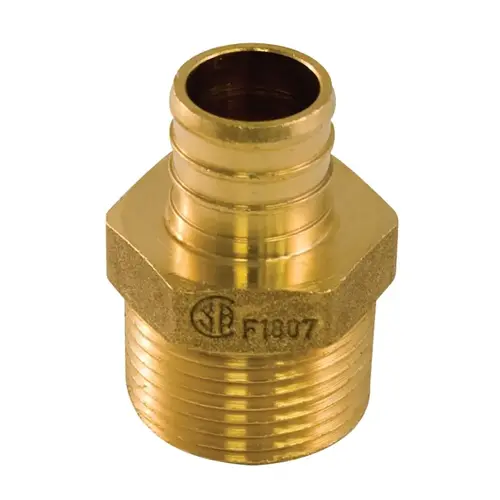 Pipe Adapter, 3/4 x 1/2 in, PEX x Male, Brass