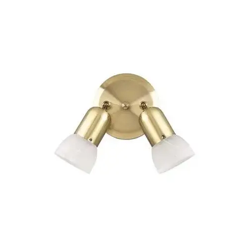 Track Lighting Fixture, 2-Lamp, Alabaster Glass, Brushed Pewter Track Lighting Fixture, 2-Lamp, Alabaster Glass, Brushed Pewter