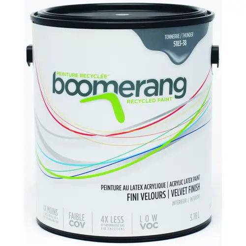 Interior Paint, Thunder, 3.78 L