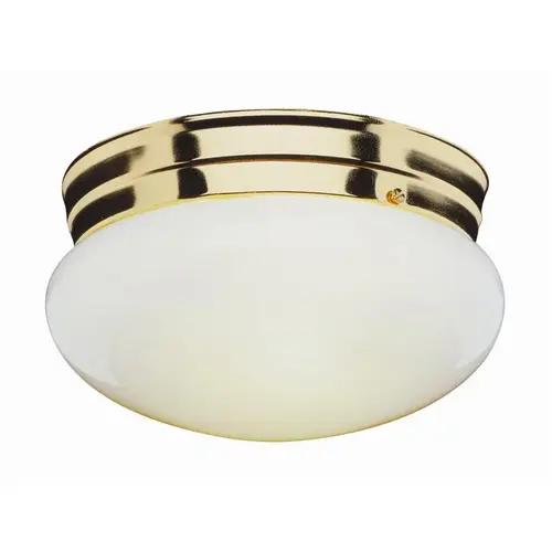 Dash Series Fixture, 120 V, 60 W, Incandescent Lamp, Metal Fixture, White Fixture