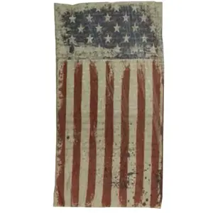 QUAGGA P21700-FLG-XCP6 Safety Scarf, One-Size Mask, Polyester Facepiece, Flag - pack of 6