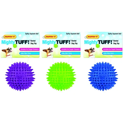 Dog Toy, Squeaker Toy, Blue/Green/Purple