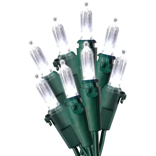 Light Set, Christmas, 120 V, 4.8 W, 50-Lamp, Cool White Lamp, 25,000 hr Average Life - pack of 12