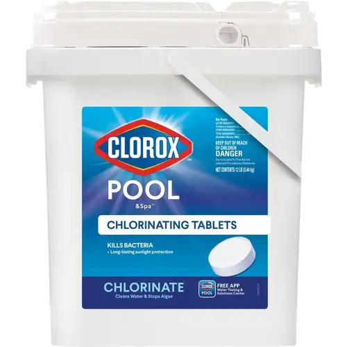 POOL & Spa ACTIVE99 Chlorinating Tablet, Solid, Chlorine, 12 lb White POOL & Spa ACTIVE99 Chlorinating Tablet, Solid, Chlorine, 12 lb White