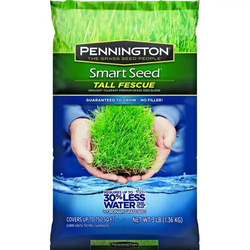 SEED/TALL FESCUE BLEND 3# SEED/TALL FESCUE BLEND 3#