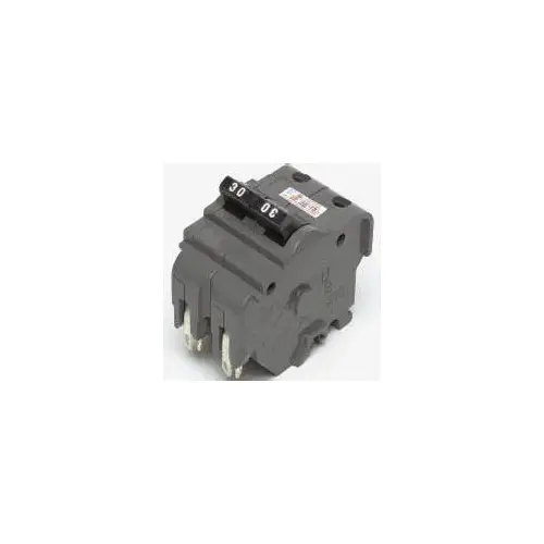 UBIF260N Circuit Breaker, Type NA, 60 A, 2 -Pole, 120/240 V, Plug Mounting Black