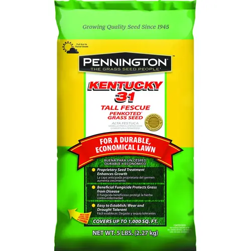 Kentucky 31 Series Grass Seed, 5 lb Bag Kentucky 31 Series Grass Seed, 5 lb Bag