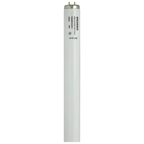 Fluorescent Bulb, 40 W, T12 Lamp, Medium Lamp Base, 1700 Lumens, 3400 K Color Temp, Neutral White Light - pack of 6