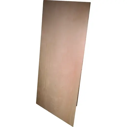 1/2 In. x 24 In. x 48 In. Pine Plywood