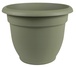 Living Green
