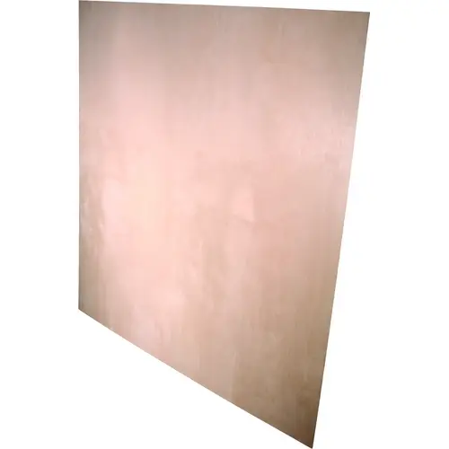 1/4 In. x 48 In. x 48 In. Pine Plywood