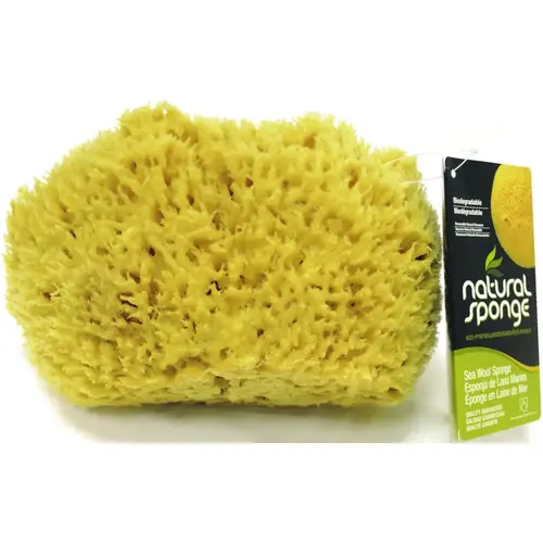 Wool Sea Sponge, 7 to 8 in L, Natural Wool Beige