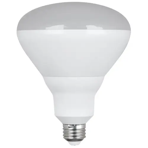 LED Bulb, Flood/Spotlight, BR40 Lamp, 120 W Equivalent, E26 Lamp Base, Dimmable Frosted LED Bulb, Flood/Spotlight, BR40 Lamp, 120 W Equivalent, E26 Lamp Base, Dimmable Frosted