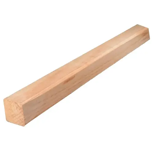 Stud, Wood - pack of 6