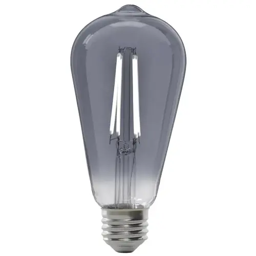 LED Bulb, Decorative, ST19 Lamp, 25 W Equivalent, E26 Lamp Base, Dimmable, Clear LED Bulb, Decorative, ST19 Lamp, 25 W Equivalent, E26 Lamp Base, Dimmable, Clear