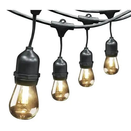 String Light, 120 V, 15-Lamp, LED Lamp, Blue/Green/Red/Vintage White Lamp, 30 ft L