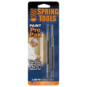 Spring Tools PM407 Nail Set and Hinge Pin Tool, Metal Pair Silver