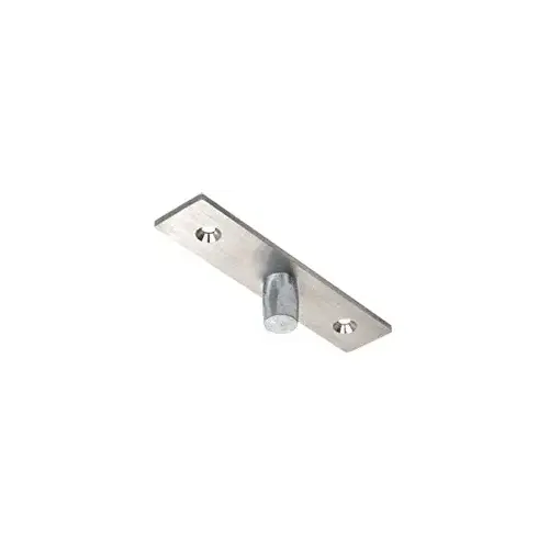 Brushed Stainless Top Center-Hung Free Swing Pivot Brushed Stainless Top Center-Hung Free Swing Pivot