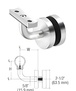 Polished Stainless