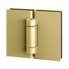 Polished Brass