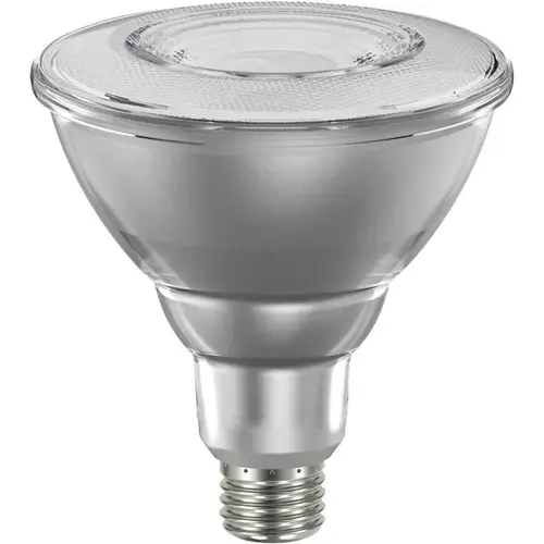 Natural LED Bulb, Spotlight, PAR38 Lamp, E26 Lamp Base, Dimmable, Clear, Cool White Light