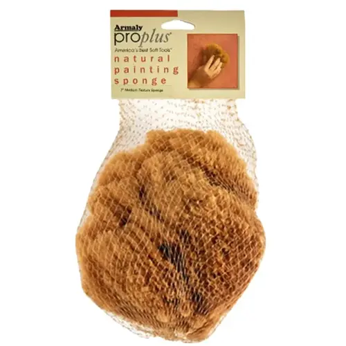 -4 Textured Painting Sponge, 5 in W, Coarse Natural -4 Textured Painting Sponge, 5 in W, Coarse Natural
