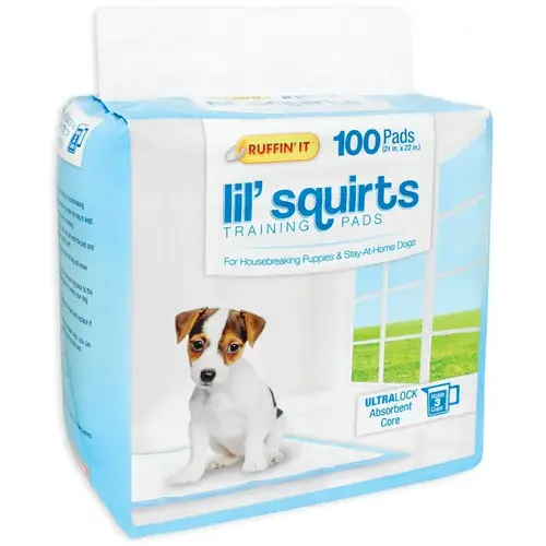 Lil' Squirts Dog Training Pad, 22 in L, 21 in W Lil' Squirts Dog Training Pad, 22 in L, 21 in W