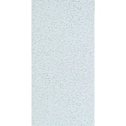 Fifth Avenue Series CTN Ceiling Panel, 48 in L, 24 in W, 5/8 in Thick, Directional Fissured Pattern, White - pack of 8