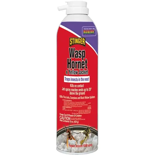 629 Hornet and Yellow Jacket Killer Foam, Liquid, Spray Application, 15 oz Aerosol Can Milky