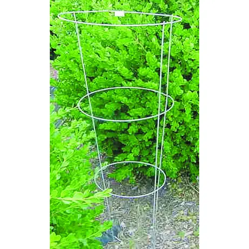 Plant Support, 33 in L, 12 in W, Steel - pack of 25