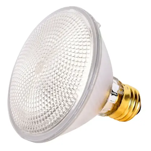 Halogen Reflector Lamp, 60 W, Medium E26 Lamp Base, PAR30 Lamp, Bright White Light, 1070 Lumens Halogen Reflector Lamp, 60 W, Medium E26 Lamp Base, PAR30 Lamp, Bright White Light, 1070 Lumens