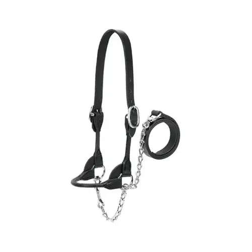 Livestock Show Halter, Black, Small