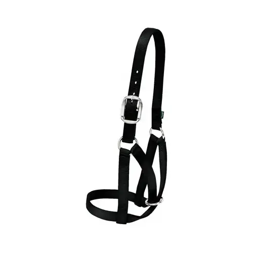 Barn Cow Halter, Black Nylon, 1 In. Medium