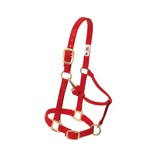 Snap Halter, Red, 1 In., Small/Weanling Horse Snap Halter, Red, 1 In., Small/Weanling Horse
