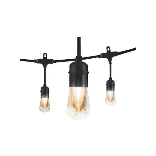 Vintage LED Cafe Light Set, 24 Bulbs, 48-Ft. Vintage LED Cafe Light Set, 24 Bulbs, 48-Ft.