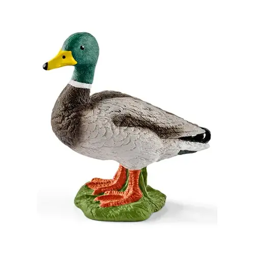 Drake Duck Toy Animal Figure, Ages 3 & Up - pack of 5 Drake Duck Toy Animal Figure, Ages 3 & Up - pack of 5