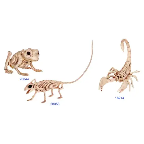 Halloween Decor 6" Mini Animal Skeletons - pack of 12
