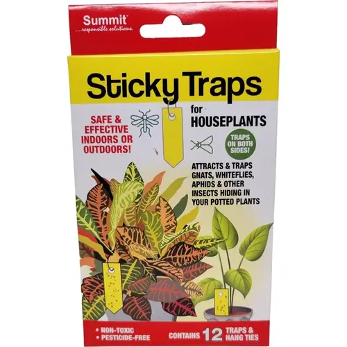 Sticky Trap s 12 pc Sticky Trap s 12 pc