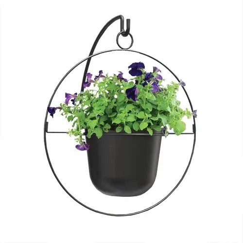 Hanging Planter 17" D Metal Round Ring Black Black - pack of 6 Hanging Planter 17" D Metal Round Ring Black Black - pack of 6