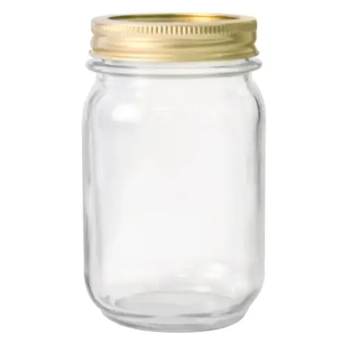 Canning Jar Tecnocap Regular Mouth 16 oz