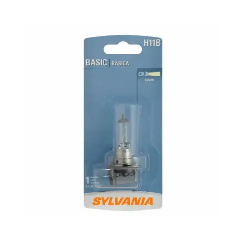H11B.BP HeadLGT Bulb