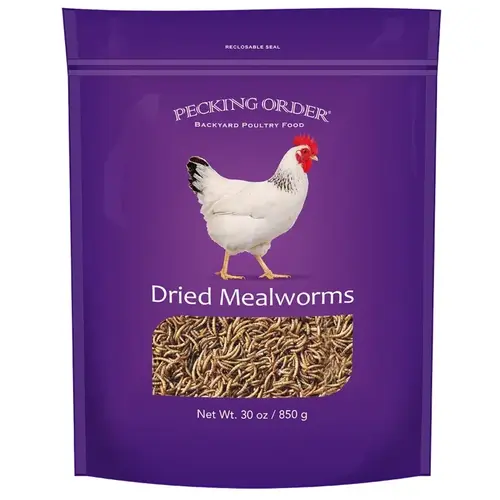 Chicken Mealworm Treat, 30 oz Bag Chicken Mealworm Treat, 30 oz Bag