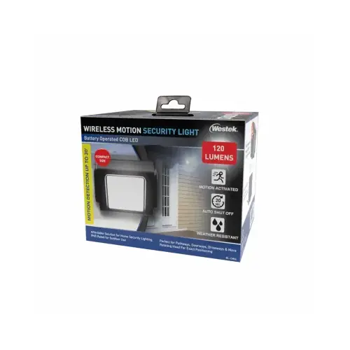 Motion Security Light Motion Security Light