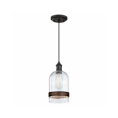 Tarrant Indoor Rustic Mini Pendant Light, Clear Seeded Shade, Black/Bronze Finish Tarrant Indoor Rustic Mini Pendant Light, Clear Seeded Shade, Black/Bronze Finish