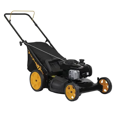 Lawn Mower, Gasoline, 21 in W Cutting, Pull Start Lawn Mower, Gasoline, 21 in W Cutting, Pull Start
