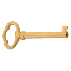 Compx Security D8890 Original warded barrel keyblanks Brass