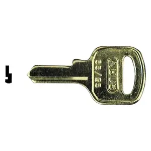 Abus Lock Company 55/25-XCP10 Abus Original Key Blanks - pack of 10