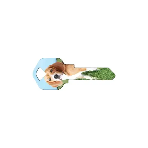 Happy Keys Beagle Happy Keys Beagle
