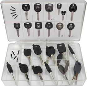 Keyline GK100 STARTER KIT-ISO Glass Chip and Shell Keys Starter Kit