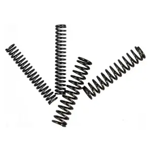 Adams Rite 91-0060 Return Spring Kit 4590 Paddle Chrome